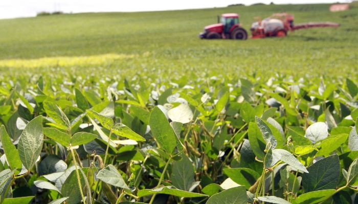 Complexo soja impulsiona agronegócio do Paraná com faturamento de US$ 2,94 bilhões até maio